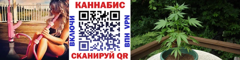 Магазины продажи наркотиков Олонец КЕТАМИН  ГАШ  Cocaine  APVP 