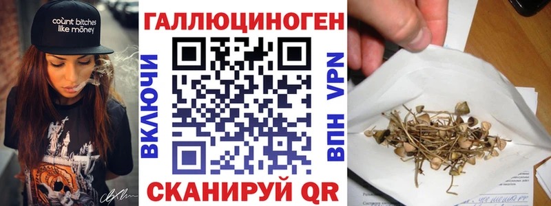 что такое   Олонец  Псилоцибиновые грибы Psilocybe 