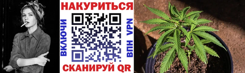 даркнет клад  Олонец  Каннабис MAZAR 